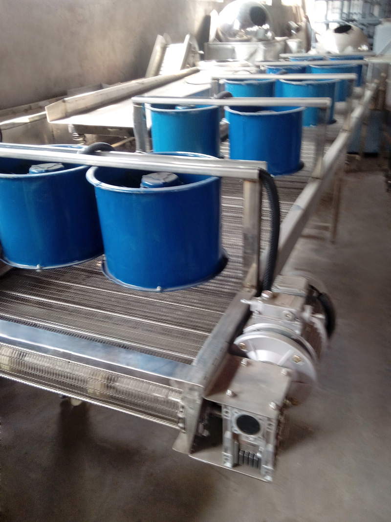 清洗風幹流水線